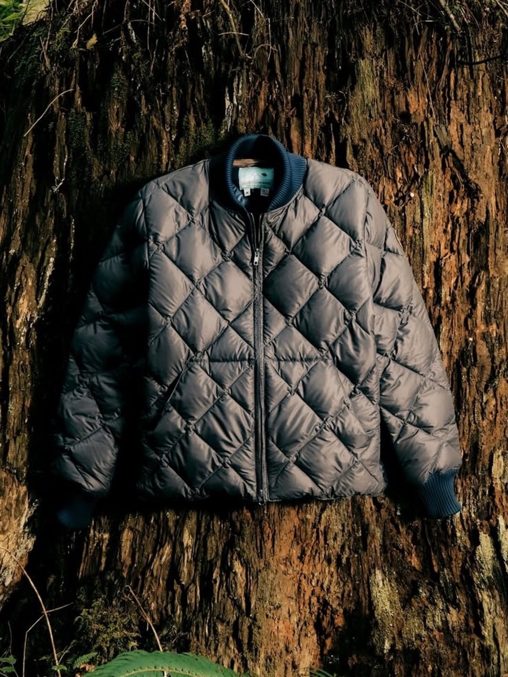 Imogene + Willie x Crescent Down Works Quilted Bomber, Size XS
